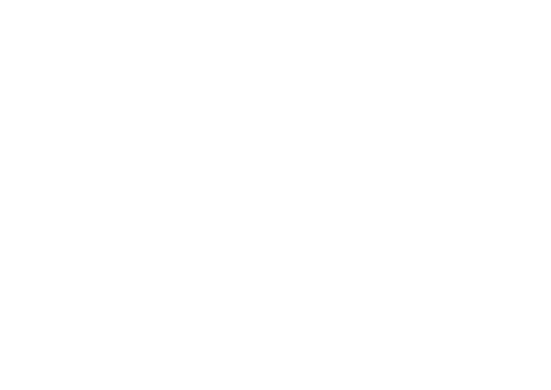 Anima Mundi