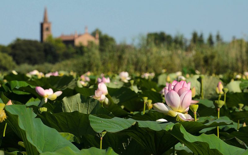 Slider (1) Slider (1)